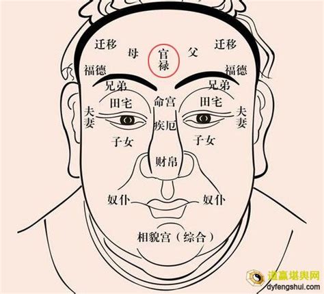 福堂 面相|相学经典：《麻衣相法》面相十二宫图文详解大全